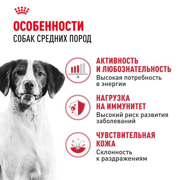 Сухой корм Royal Canin Medium Adult для взрослых собак средних размеров от 12 месяцев до 7 лет
