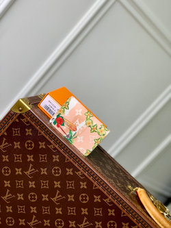 Louis Vuitton Pocket Organizer