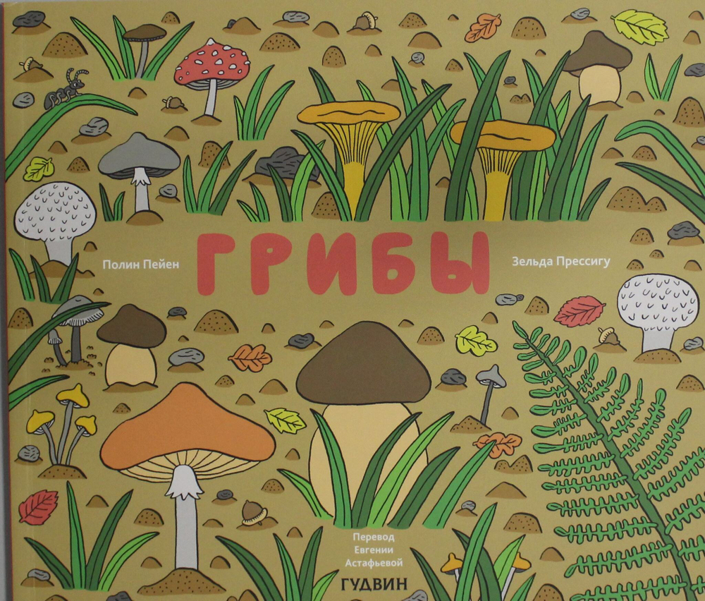 Грибы