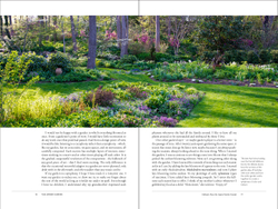 The Layered Garden