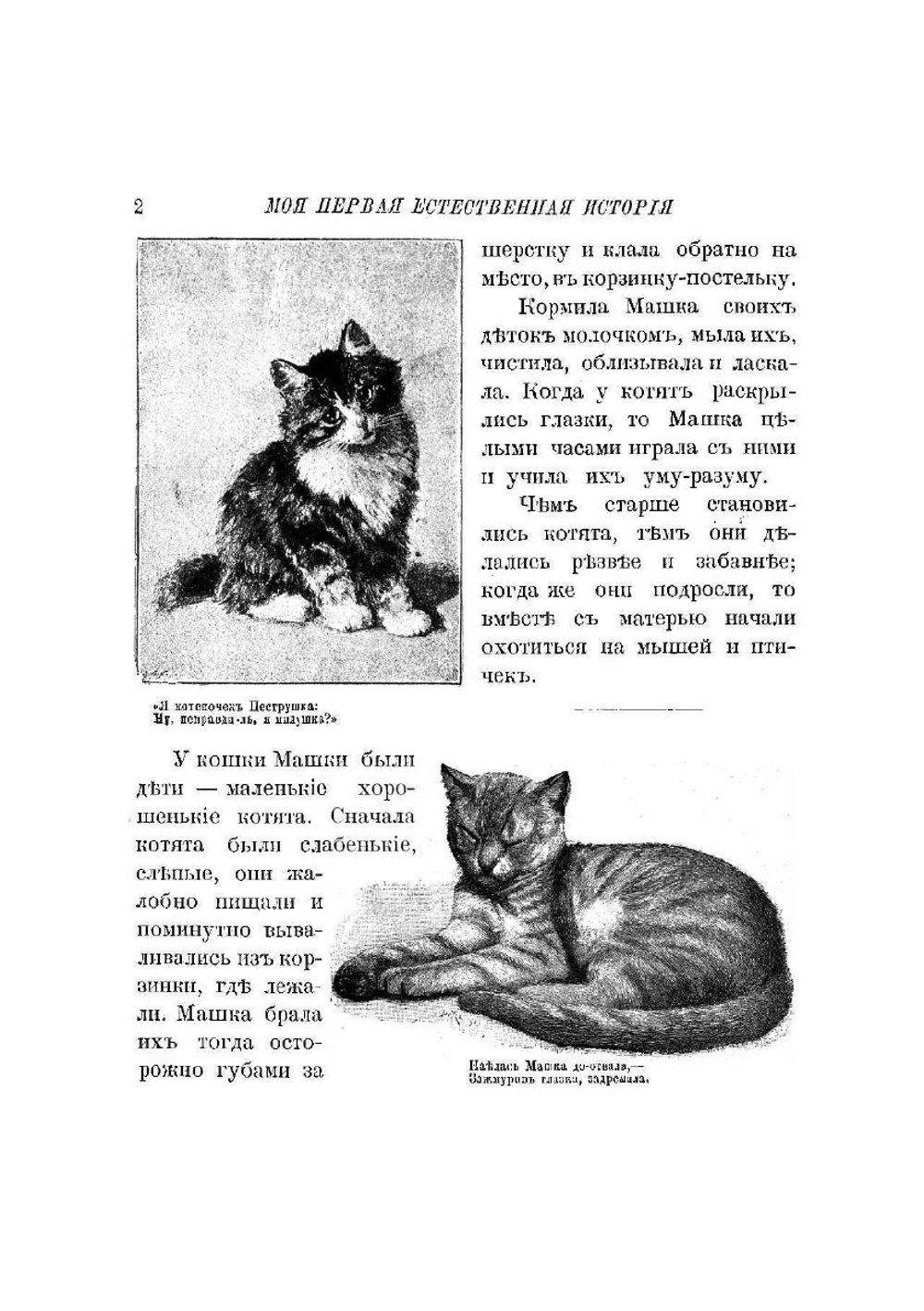 Моя первая естественная история | Некрасова Л. М.