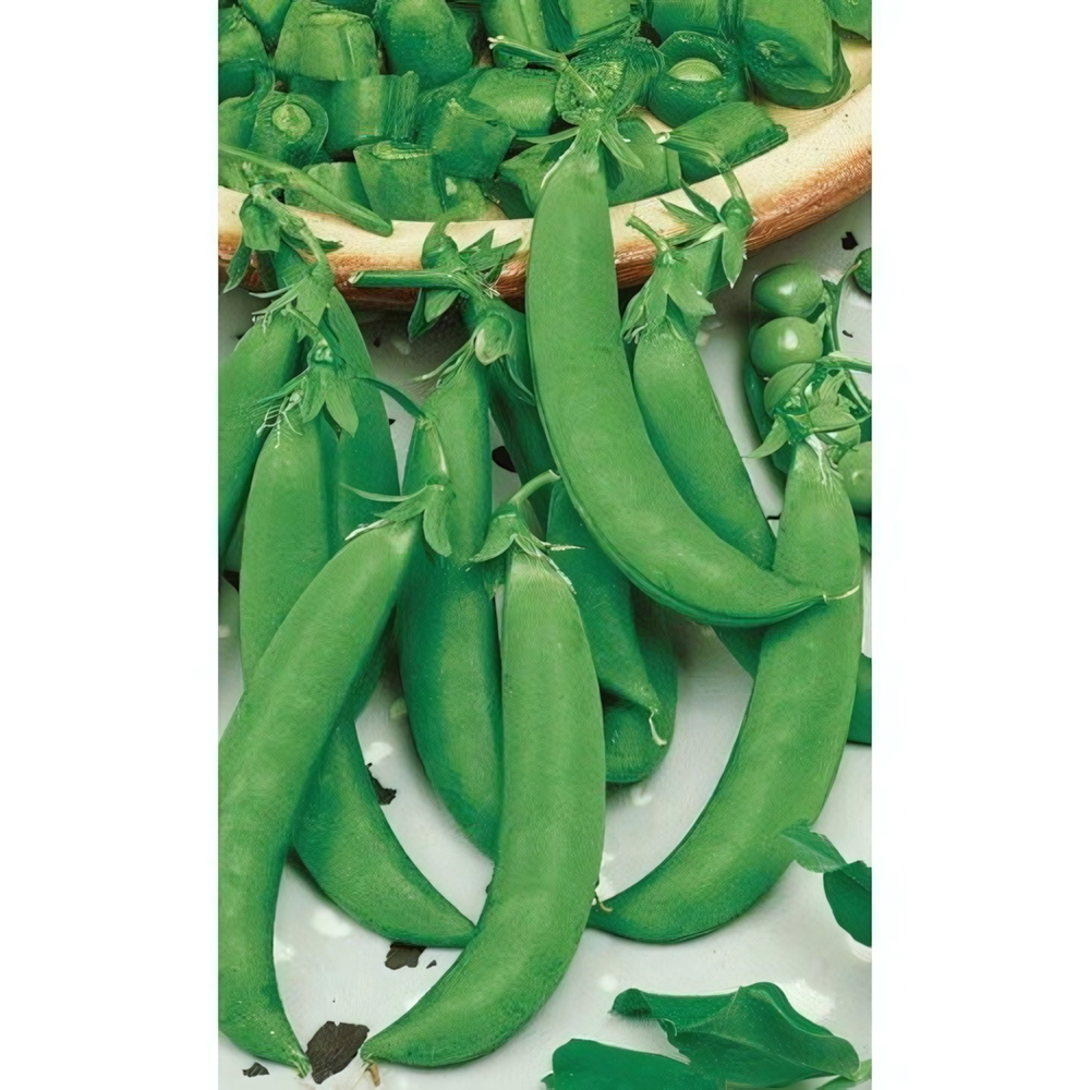 Семена Горох Амброзия (Марс) 8гр Б/П