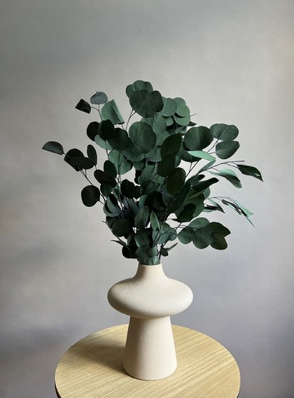 Эвкалипт Популус стабилизированный зеленый