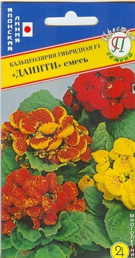 Кальцеолярия Даинти Престиж