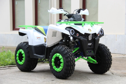 Квадроцикл IRIDE 200 ROVER