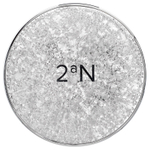2aN, Gleaming Tension Pact, маска для наращивания мышечной массы, оттенок 17, слоновая кость, 13 г (0,45 унции)