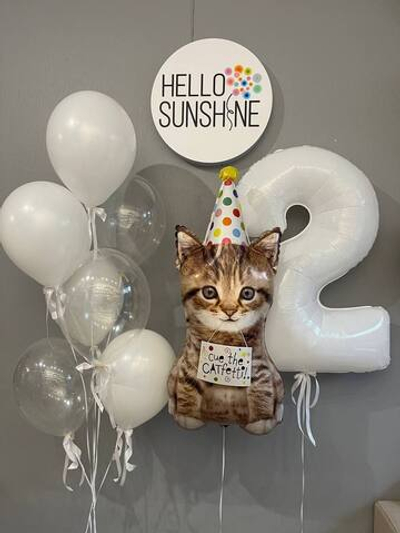 Набор шаров Милый котик и белые шарики