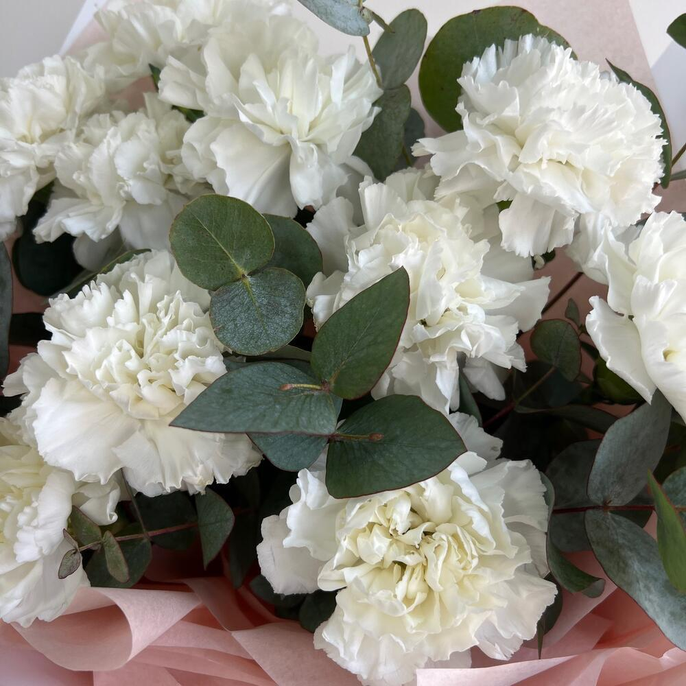 Премиум диантусы