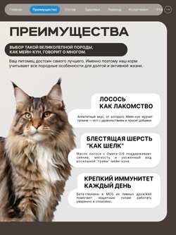 Корм сухой для взрослых стерилизованных кошек породы Мейн-кун, полнорационный комплекс, с лососем, 2 кг, QUATTRO