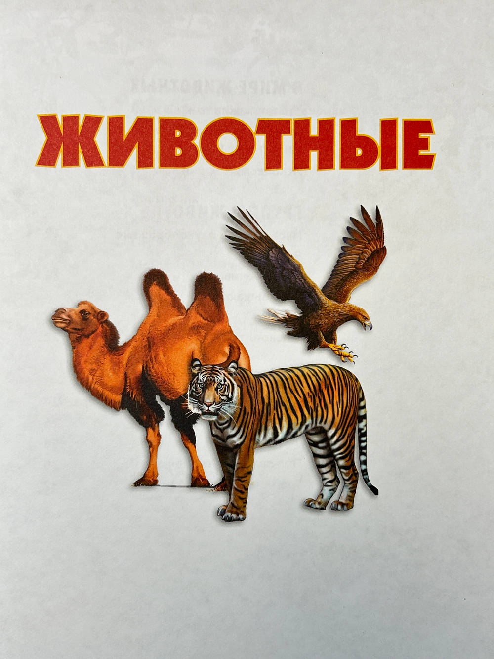 Большая энциклопедия для маленьких любознашек