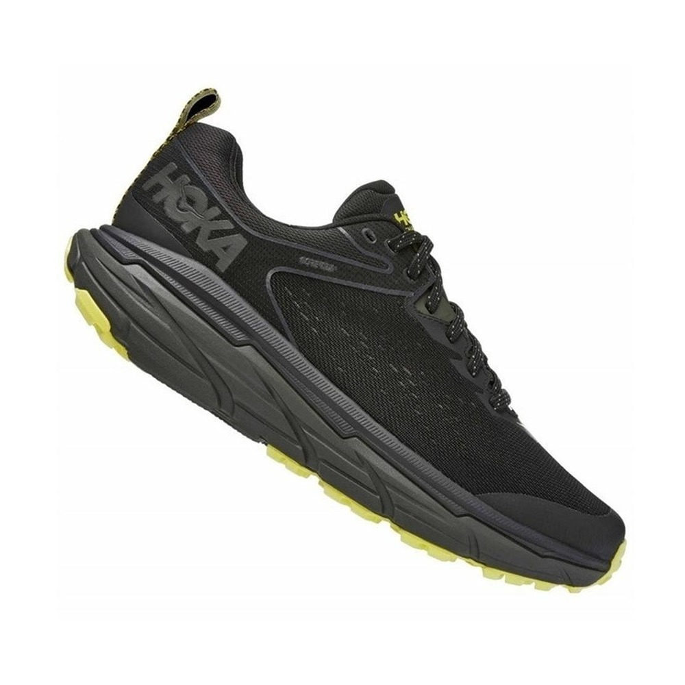 Кроссовки мужские HOKA M CHALLENGER ATR 6 GTX Black / Black Olive