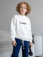 Свитшот для мальчика с принтом