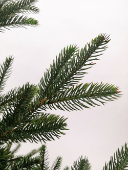 Ель Фантазия 215см зеленая Black Box