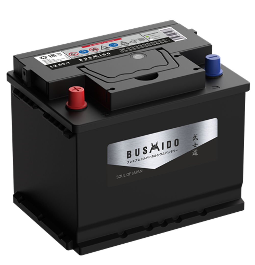 Аккумулятор 6CT-100 А.ч.,  п.п., L+, BUSHIDO SJ
