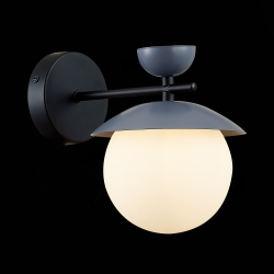 Светильник настенный Evoluce Genova SLE220201-01