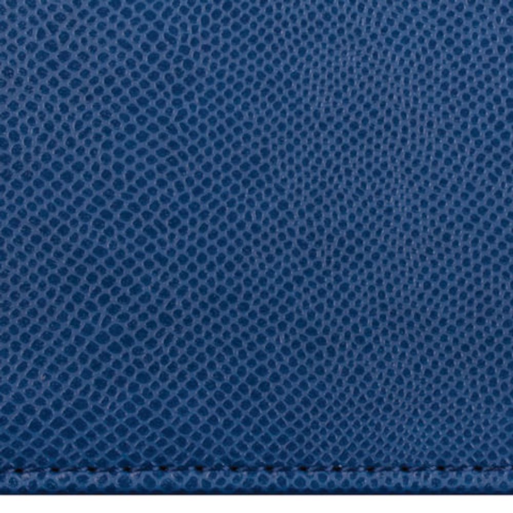 Визитница/кредитница однорядная BRAUBERG "Iguana", на 24 карты, под кожу змеи, застежка, темно-синяя, 232288