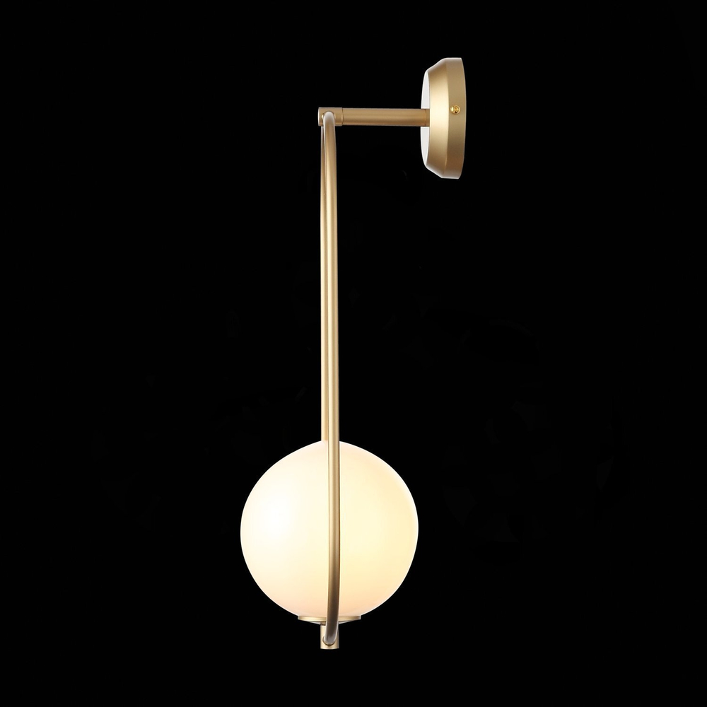 Светильник настенный ST Luce Penolo SL1118.201.01