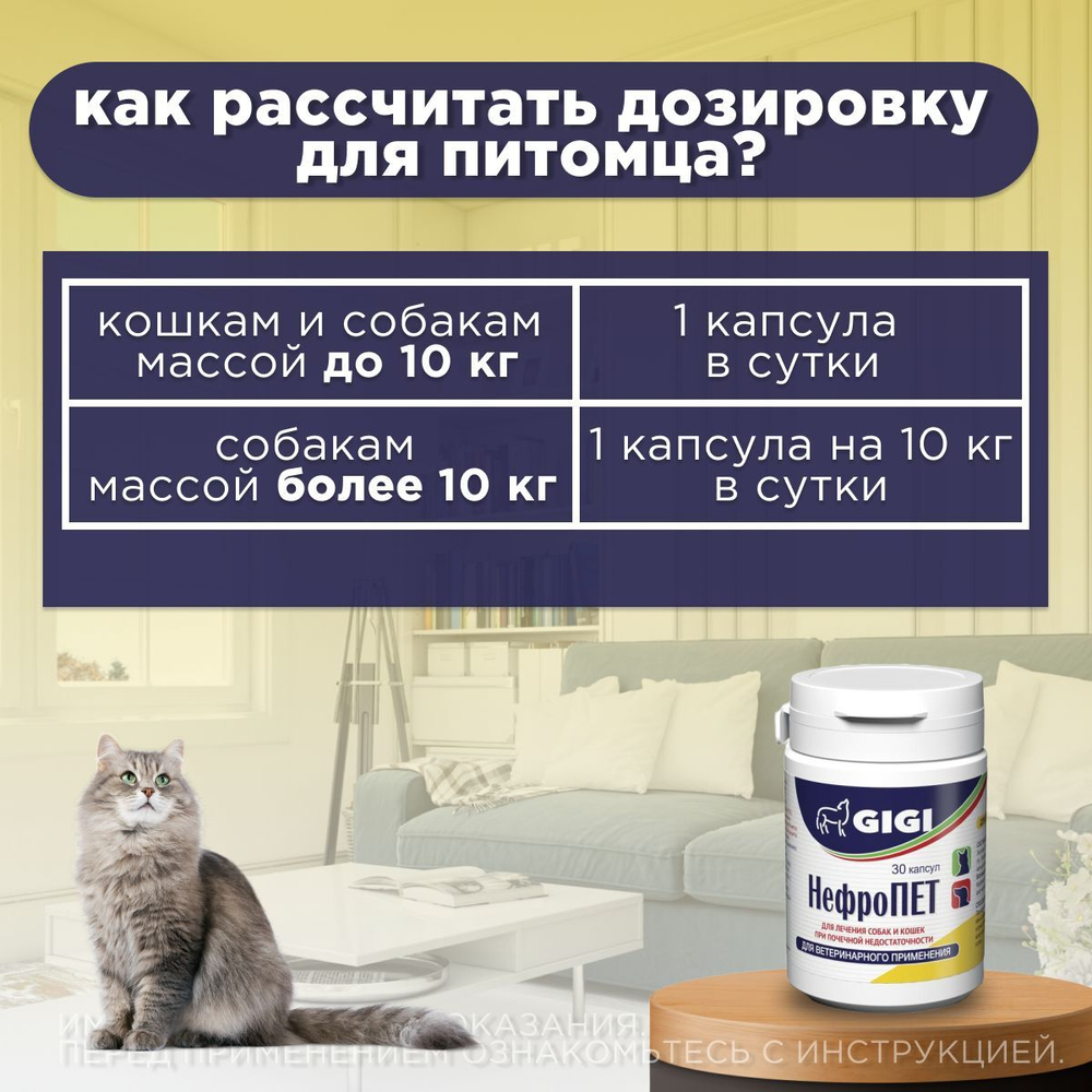 Капсулы от почечной недостаточности у собак и кошек GiGI НефроПЕТ, 30 капсул
