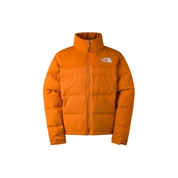 THE NORTH FACE Nuptse Logo ICON 700