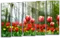Модульная картина "Тюльпаны"