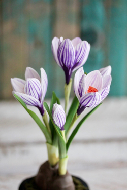 Вайнер силиконовый лист Ландыша ClayCraft by DECO™