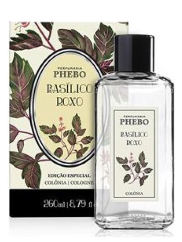 Phebo Basilico Roxo