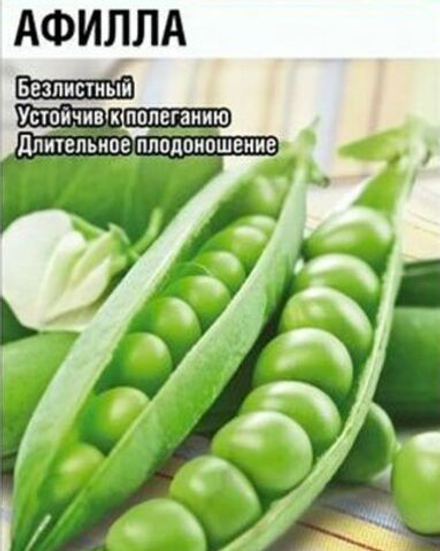 Горох Афилла