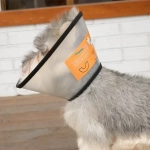 Воротник ветеринарный на липучках «ЛЮБИМЫЙ БРО», окружность шеи 14-17см, диаметр 30,4см (пакет)