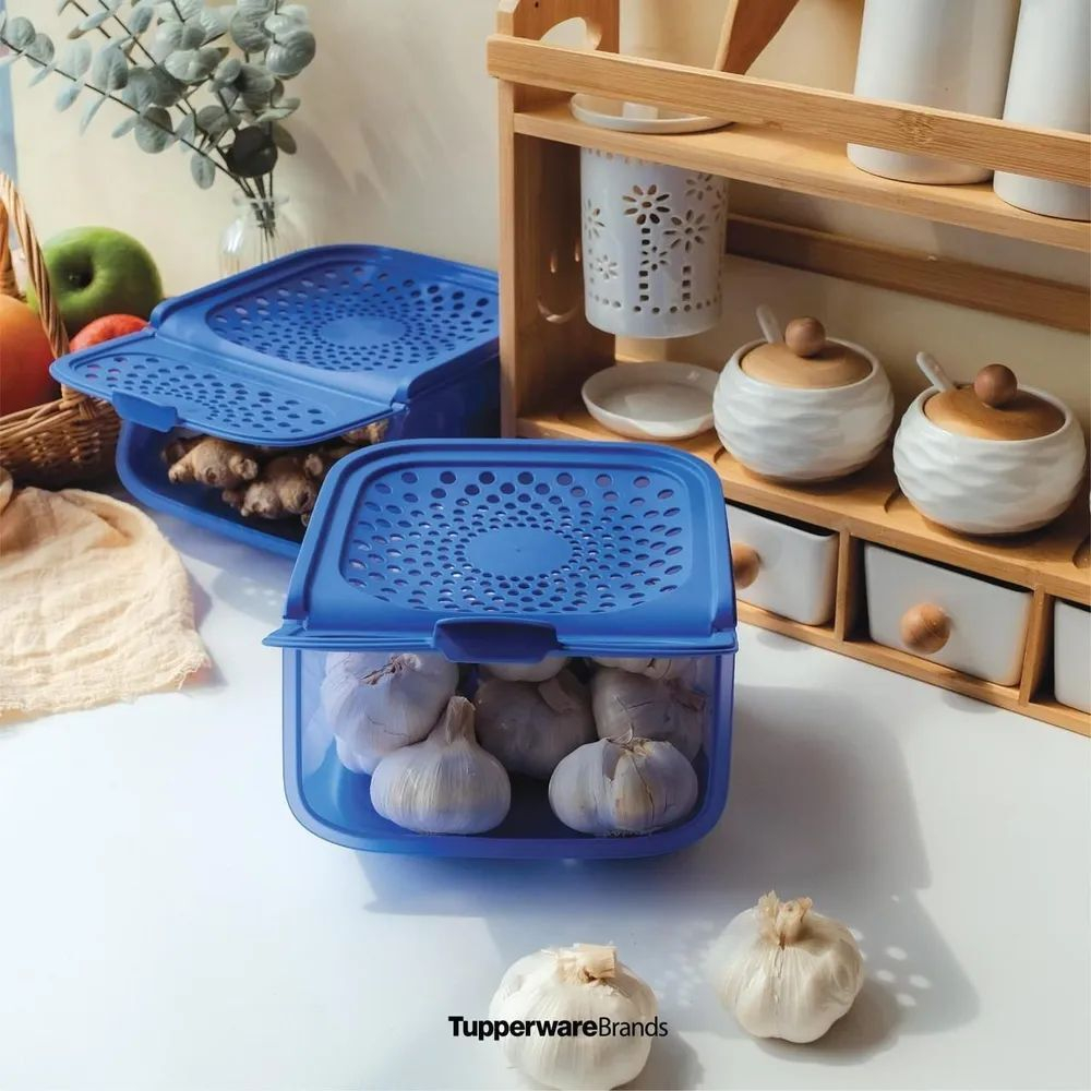 Контейнер Свежесть малый (2,3 л), 2 шт. Tupperware