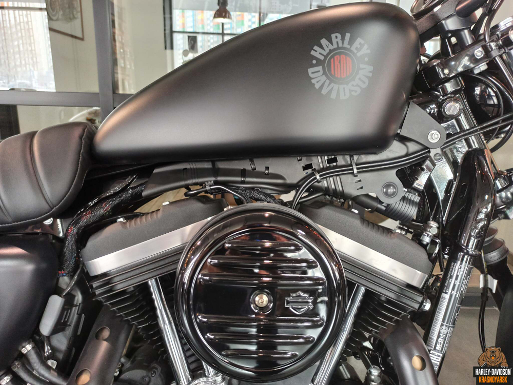 Iron 883 (XL883N) Harley-Davidson® Sportster® 2020