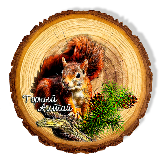 Магнит спил "Белочка"