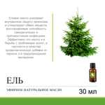 Эфирное масло Ели / Picea Abies Leaf Oil