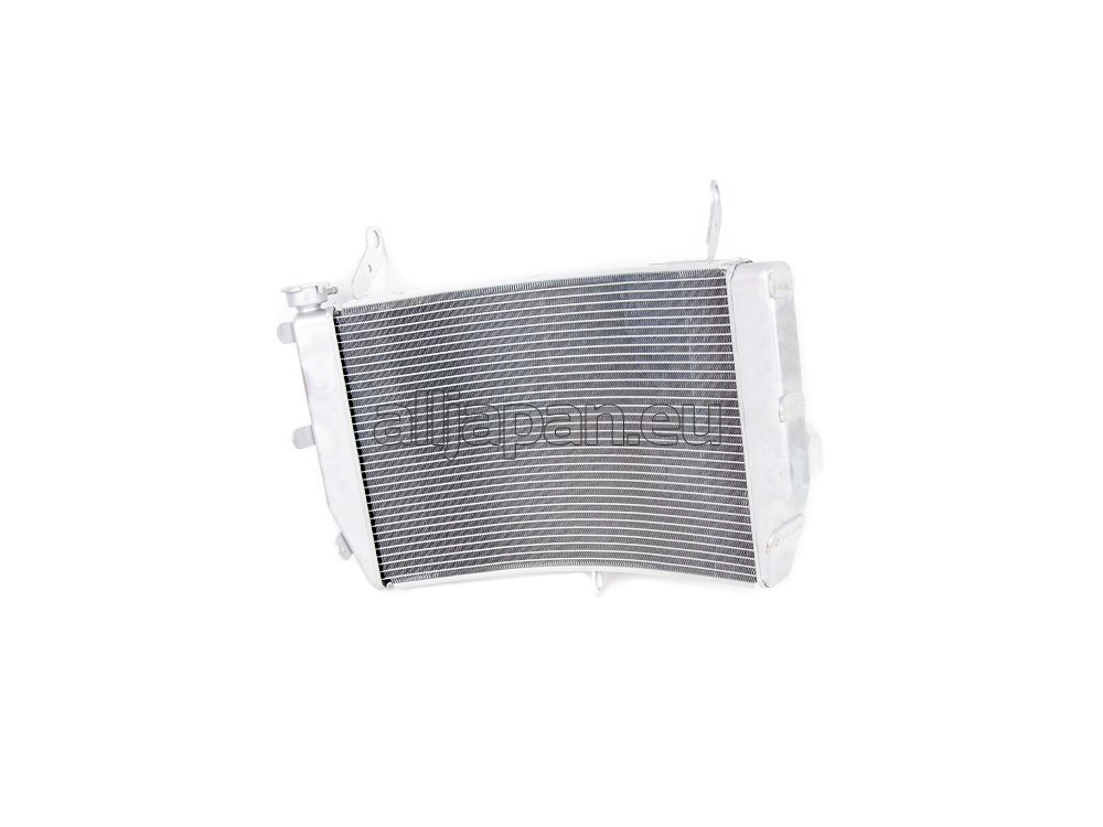 17710-04K10-000 WATER COOLER ASSY