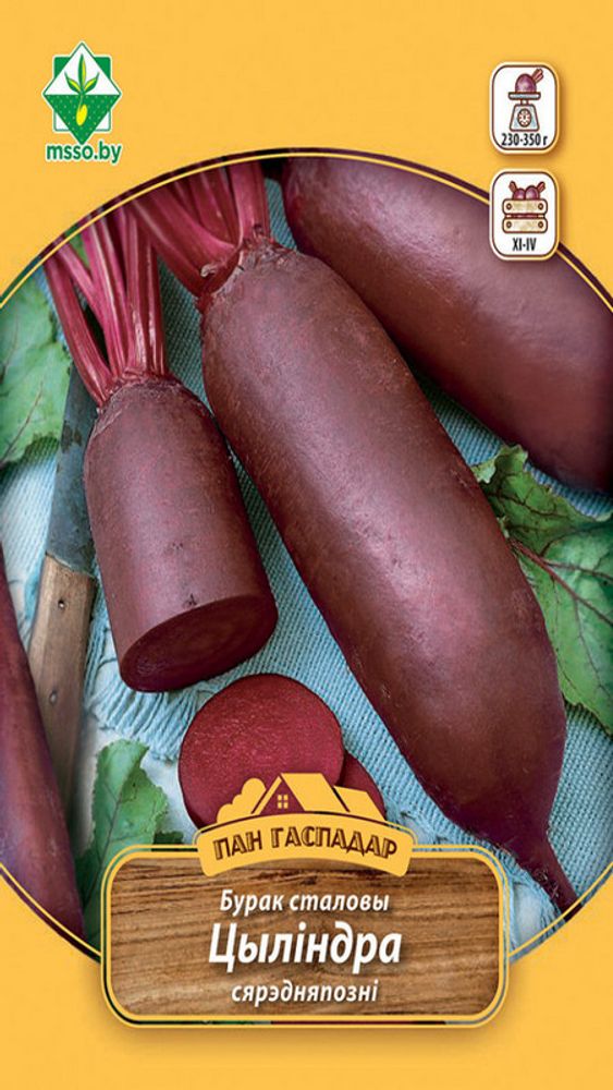 Свекла столовая "Цилиндра (Пан Гаспадар)" 12г, Германия.