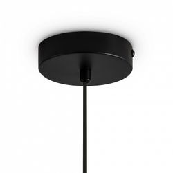 Подвесной светильник Freya Irisa FR5593PL-01B1