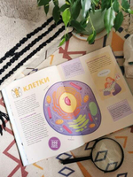 Твое тело. Как оно работает и меняется