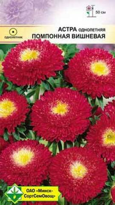 Астра помпонная "Вишневая" 0,3г, Германия.