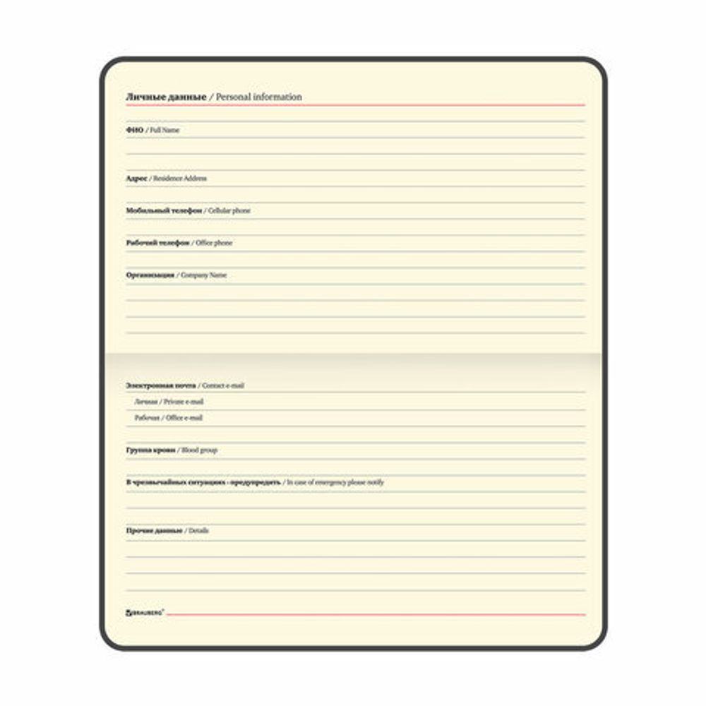 Еженедельник недатированный МАЛЫЙ ФОРМАТ 95х155 мм, А6, BRAUBERG "Iguana", под кожу, 64 л., черный, 114480