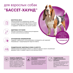 Корм сухой для взрослых собак породы Бассет-хаунд, премиум полнорационный комплекс, с говядиной, 12 кг, QUATTRO