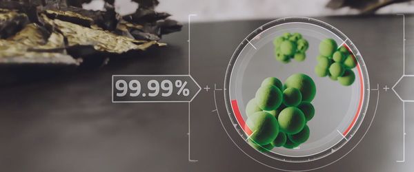 Когда чистота превыше всего