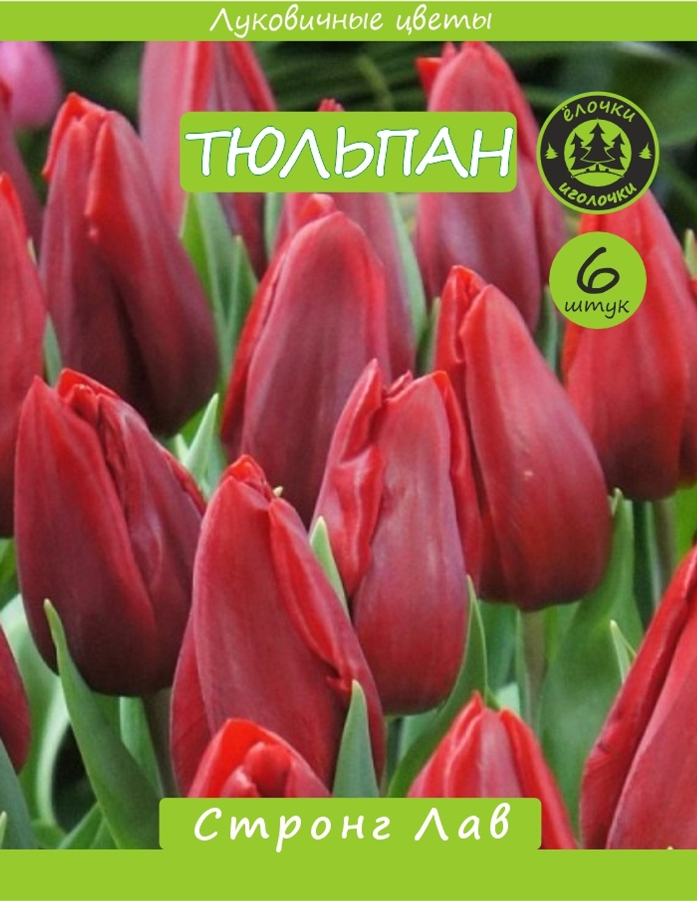 Тюльпан Луковица, Стронг Лав 6шт