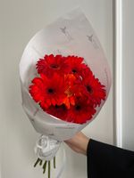 Кулек из гербер в красном оттенке 7 шт