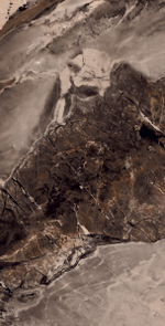 MONACO BROWN HG2012-A