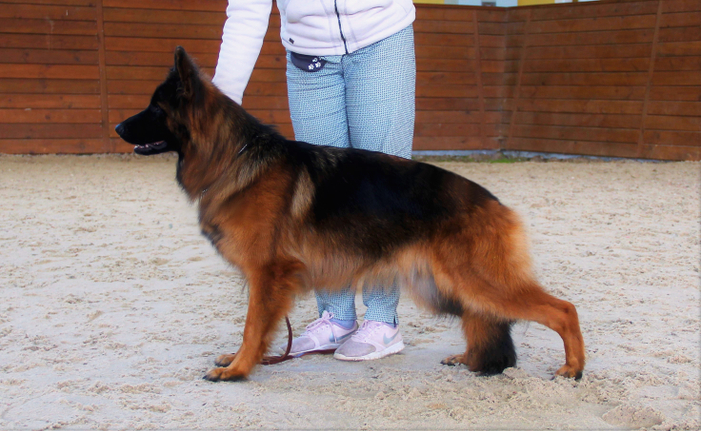 Туадаш ОЛИВИЯ