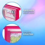 Папка для труда BRAUBERG А4, 2 отделения, пластик, молния сверху, органайзер, "Anime party", 272214