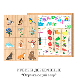 Настольная игра «ОКРУЖАЮЩИЙ МИР» с деревянными кубиками