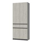 Шкаф 2-х ств Багира ШК-03