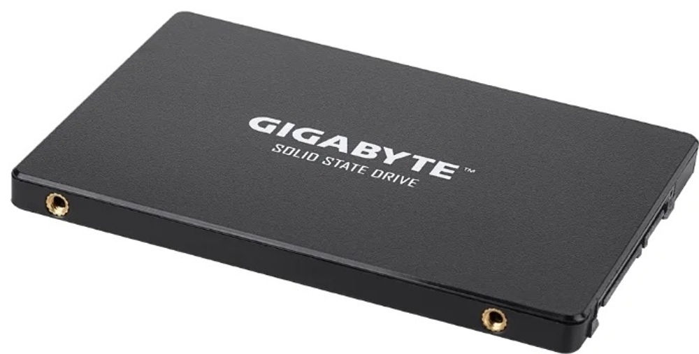 SSD GIGABYTE GP-GSTFS31256GTND 256 ГБ