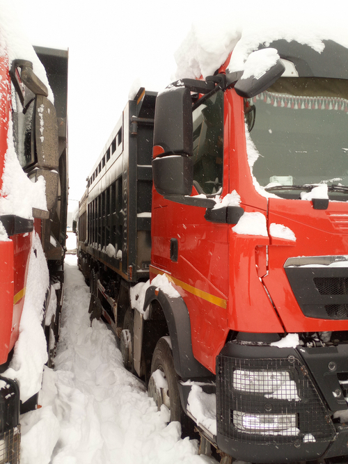 Howo T5G 8x4 Самосвал ZZ3317V384GE1 (Дизельный, 10,5 л, 440 л.с., МТ)