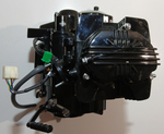 Двигатель 250см3 166FMM (с балансирующим валом) Мотоцикл Racer PANTHER 250